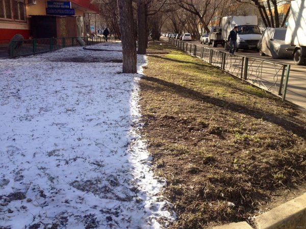 снег весной