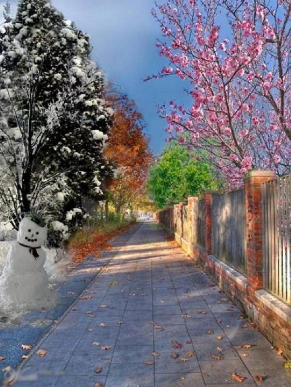 пейзаж времена года