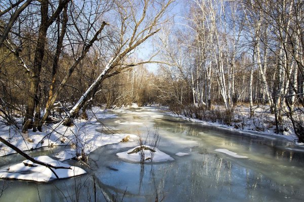 река серебрянка в измайлово