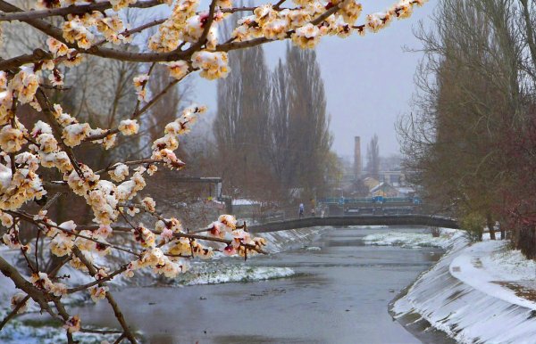 ранняя весна