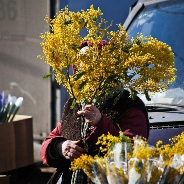 мужчина с мимозой