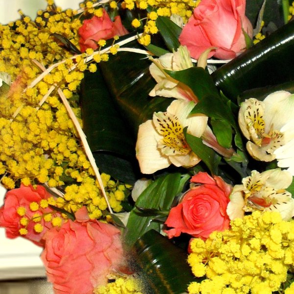 букет тюльпанов и мимозы