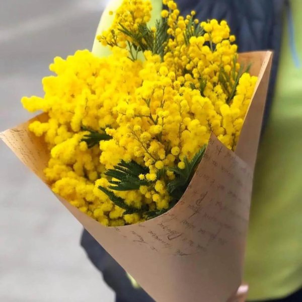мимоза монобукет