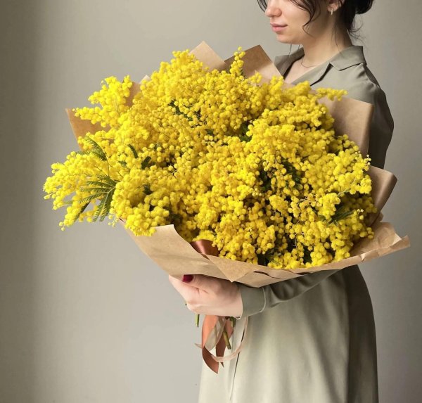 душистая мимоза