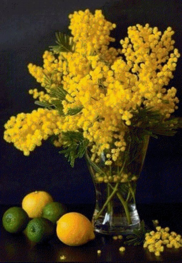 натюрморт с мимозой