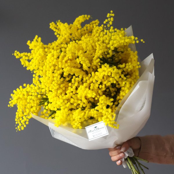 букет мимоз