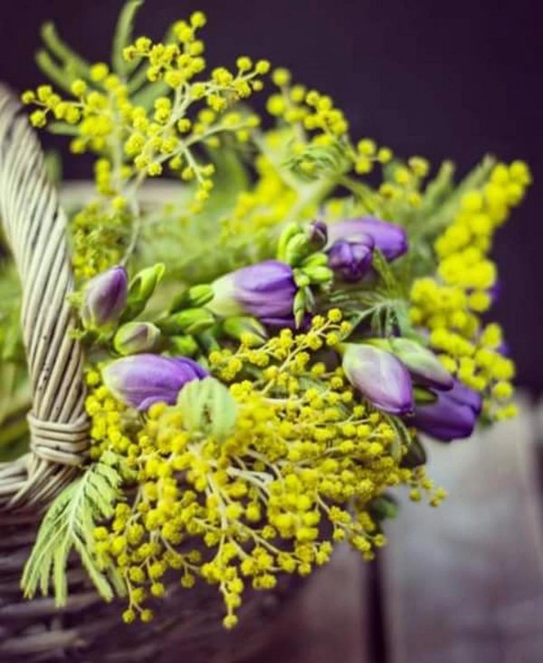 весенний букет с мимозой