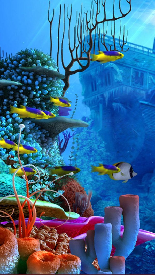 подводный мир