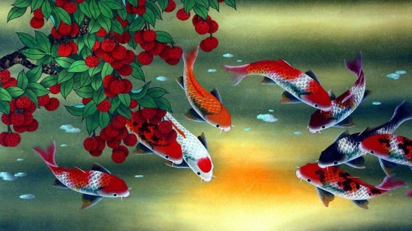 карпы фэн шуй