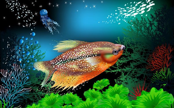 гурами жемчужная