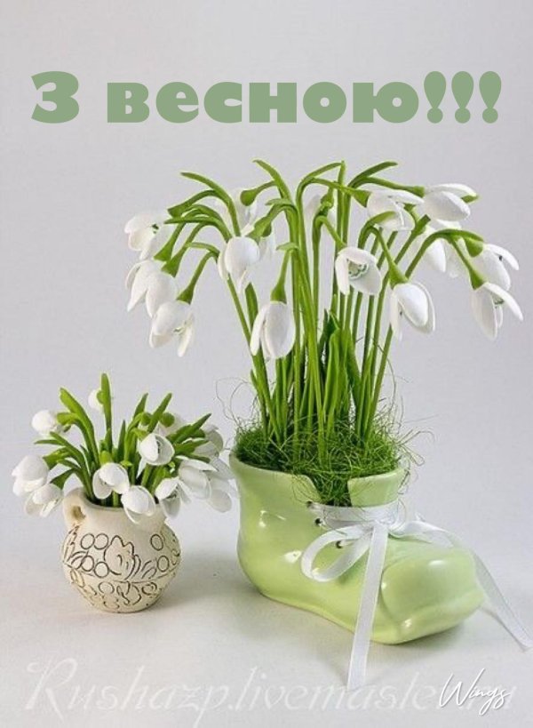 мк подснежники пролески