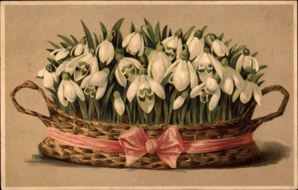 корзина подснежников