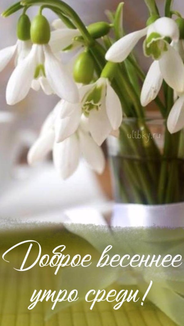 весенние цветы