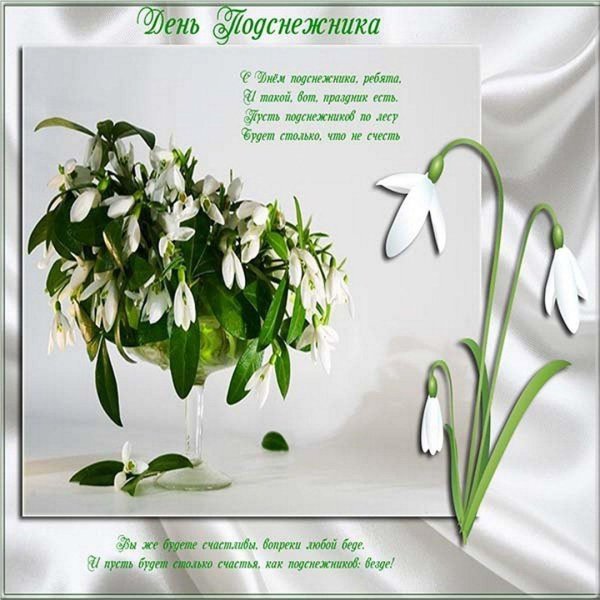 открытка с подснежниками