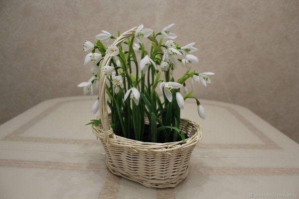 корзинка с подснежниками
