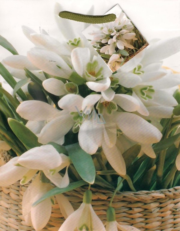 красивые открытки с подснежниками весенними цветами