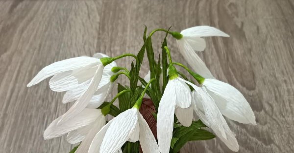 цветок подснежник