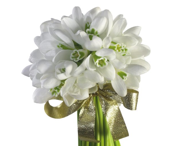 букет из подснежников