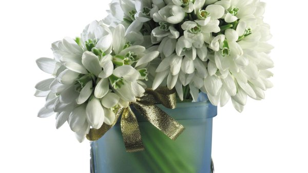 Букет подснежников