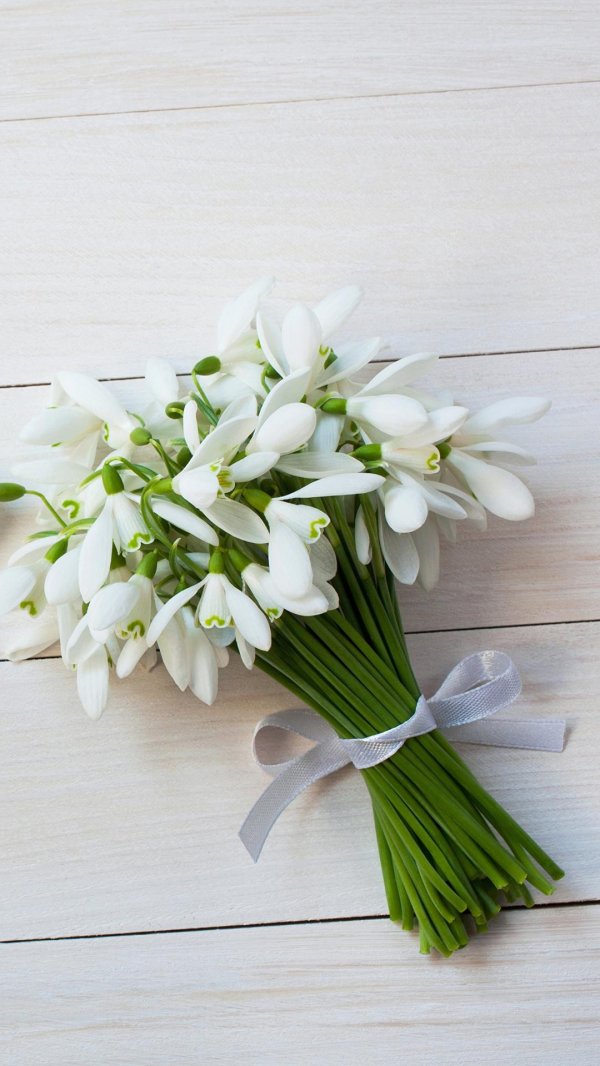 8 марта подснежники