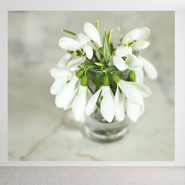 цветок подснежник