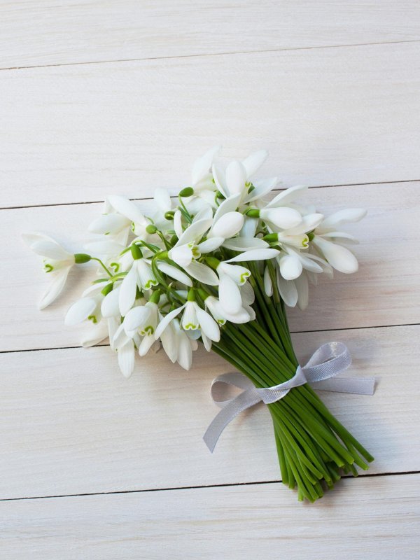 8 марта подснежники