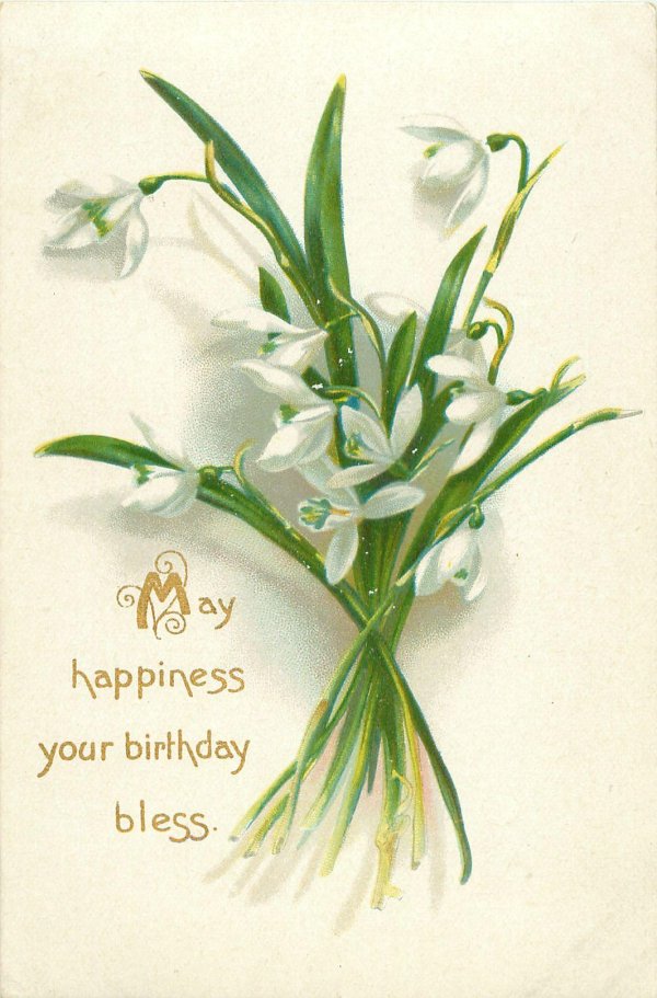 открытка весенние цветы