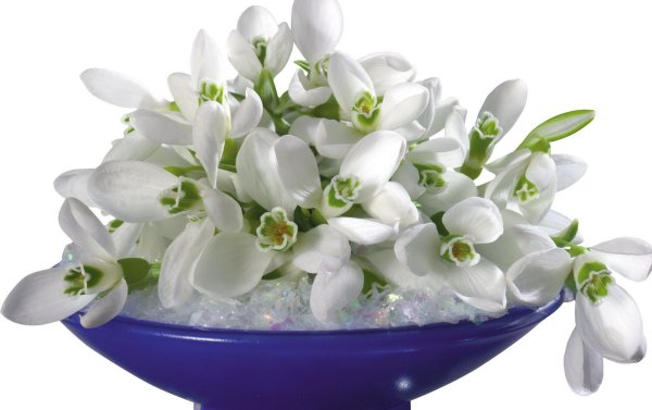 открытка с 8 марта с подснежниками