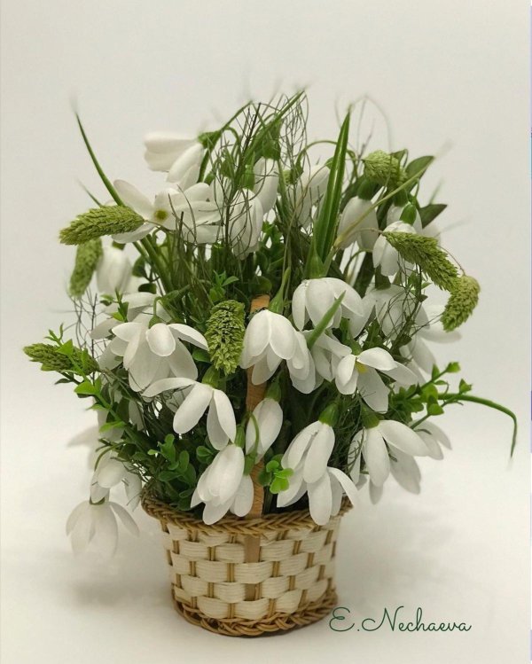 мк подснежники пролески