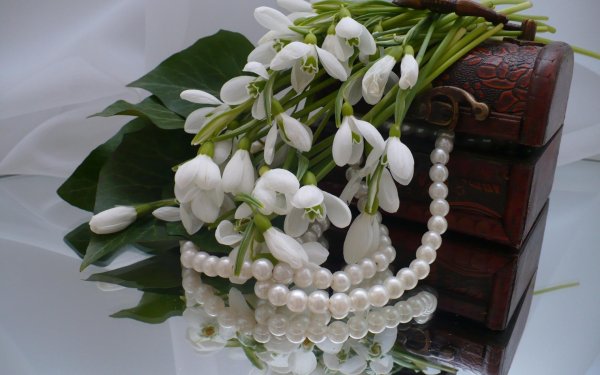 ландыши цветок