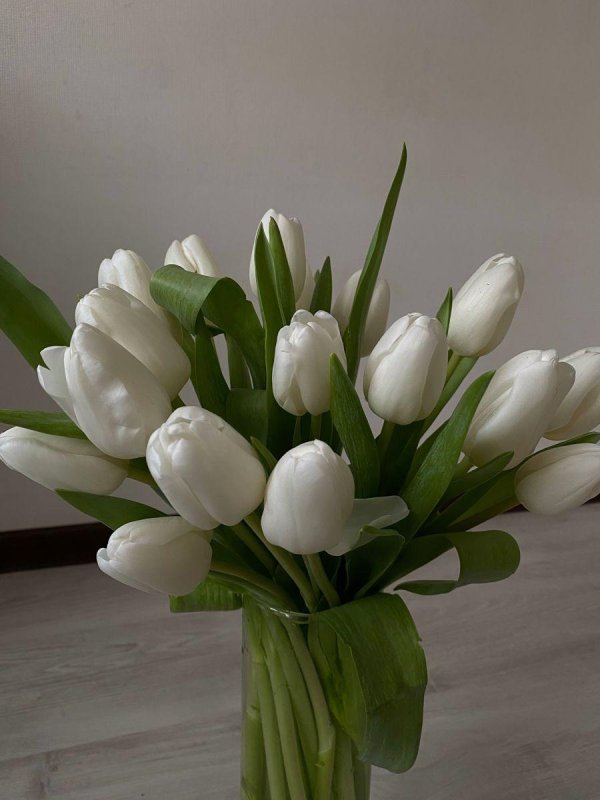 невероятные тюльпаны