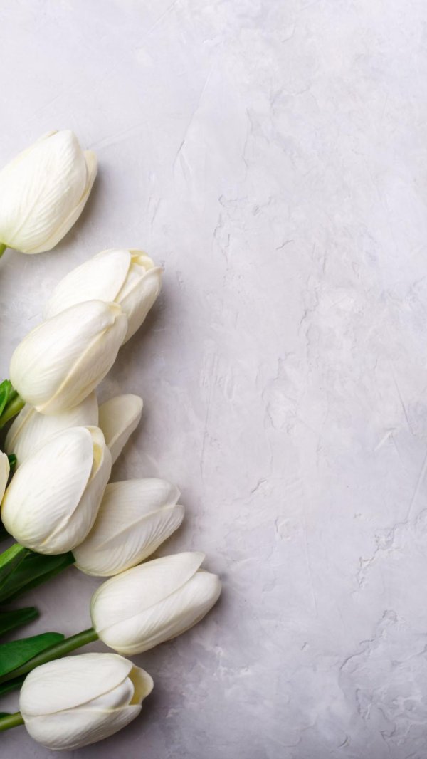 фон с тюльпанами