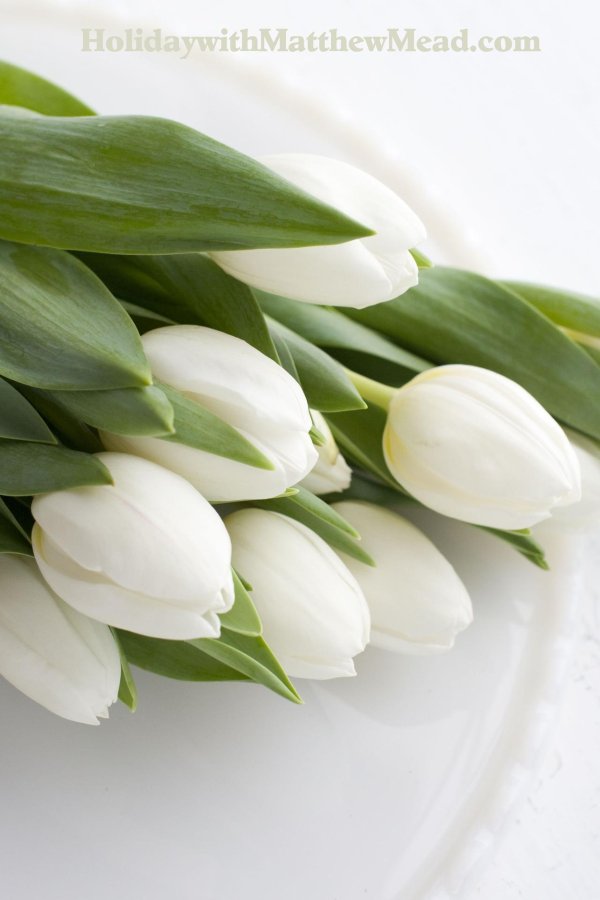 букет белых тюльпанов солнце