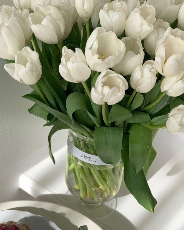 тюльпан уайт букет