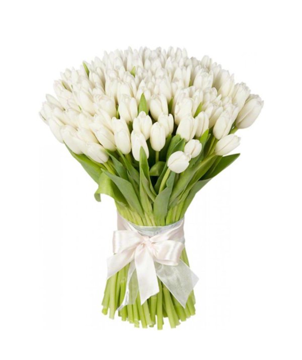101 белый тюльпан