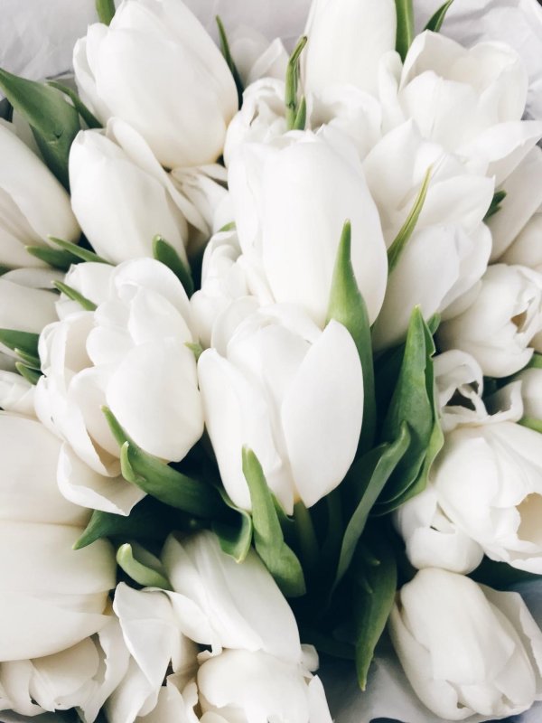 букет с белыми тюльпанами