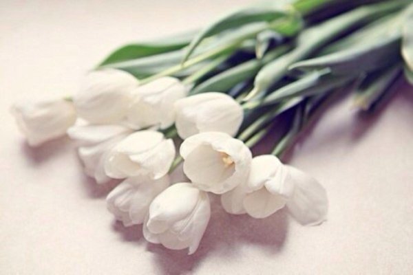 искусственные цветы тюльпан