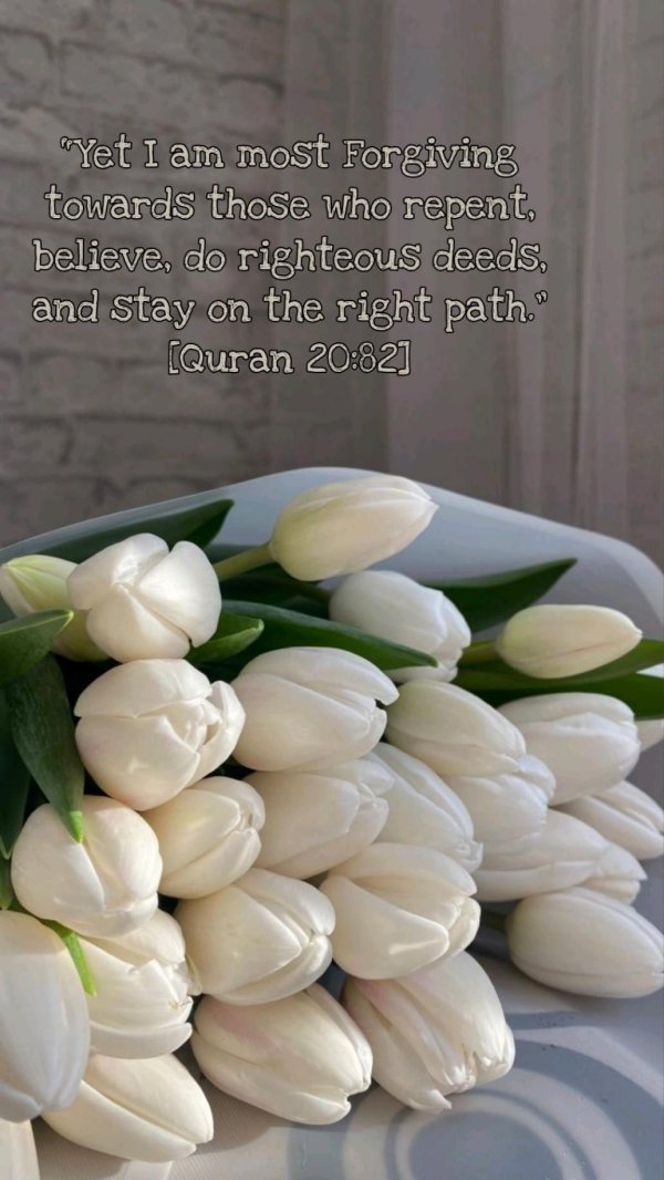 тюльпан красивый