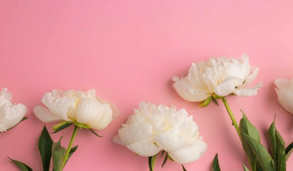 пион ариндал