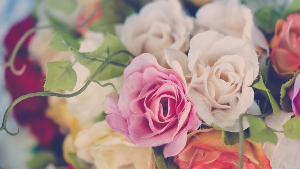 нежные букеты роз