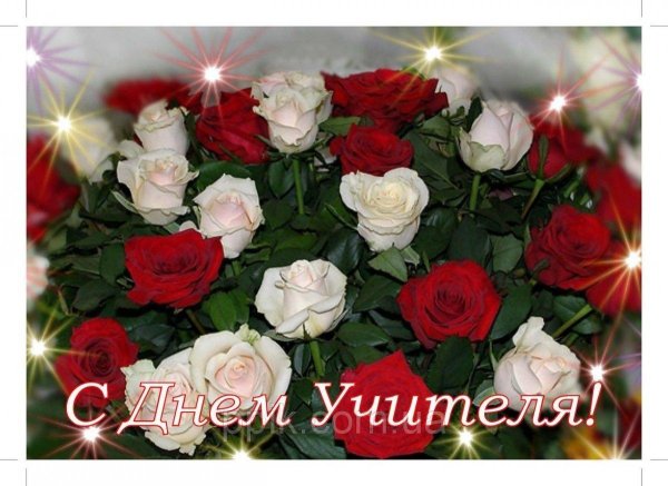 с днем учителя розы