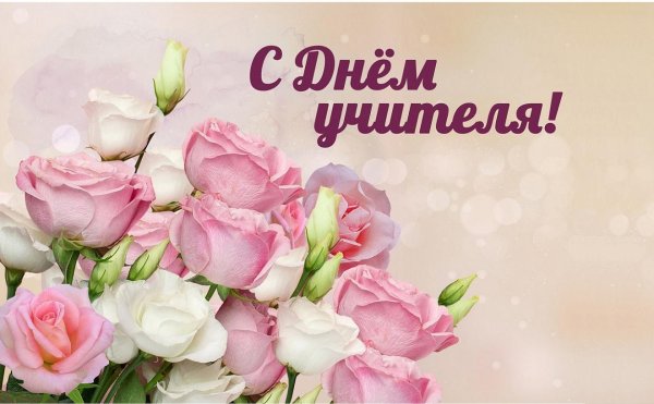 с днем учителя красивая