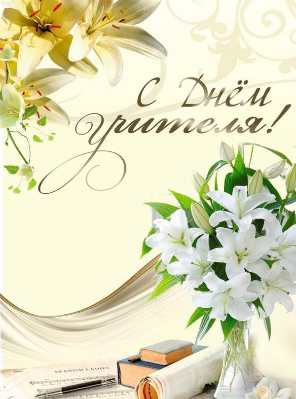 белая лилия цветок