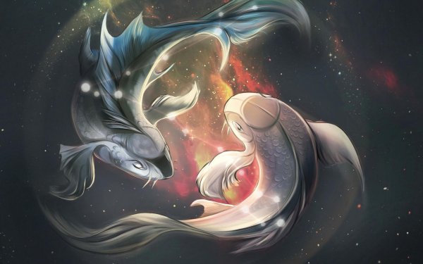 рыбки кои инь янь