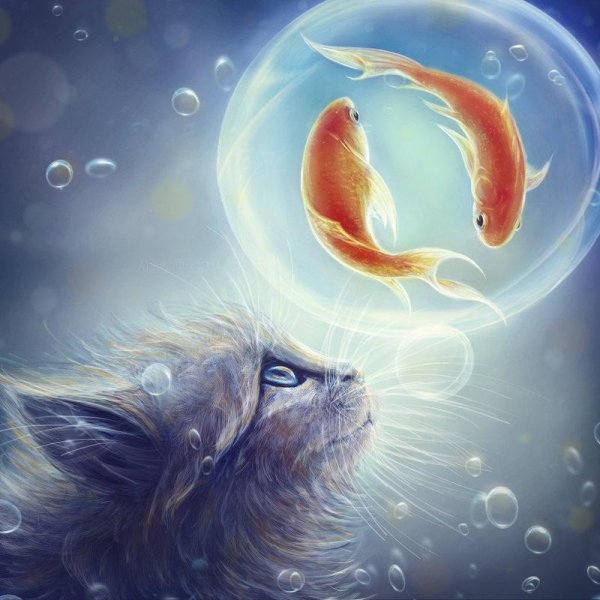 магические котики