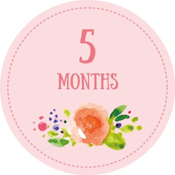 4 месяца стикер