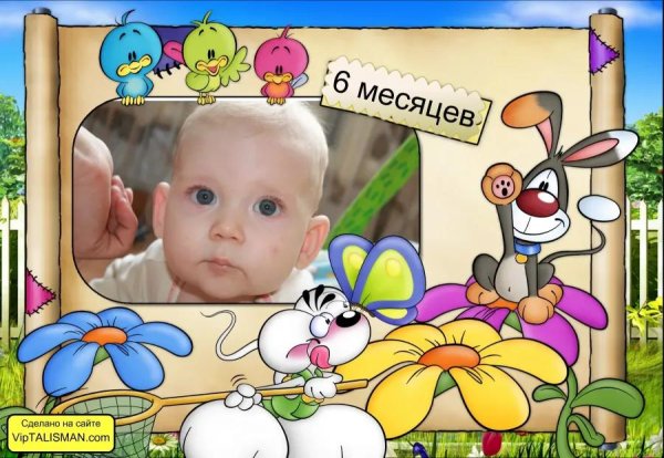 6 месяцев мальчик