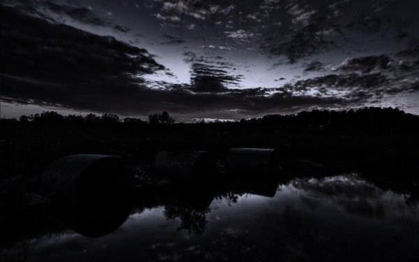 в темных тонах