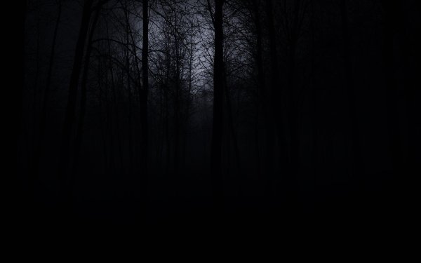 пейзаж мрачный