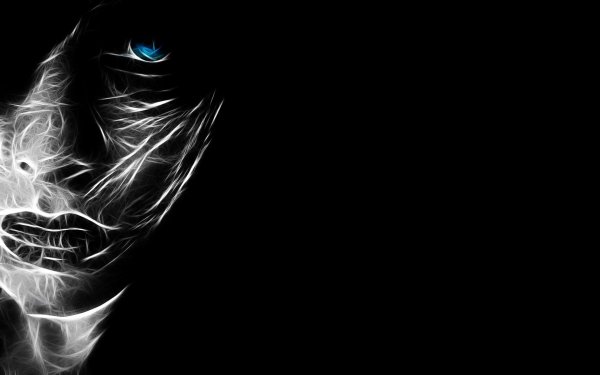 на черном фоне